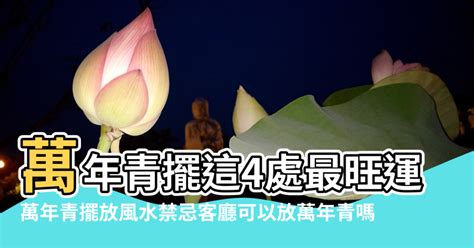 萬年青風水禁忌|【萬年青風水禁忌】小心！萬年青擺放犯禁忌恐招破。